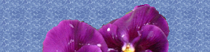 austausch_hintergrund