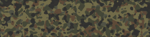 bundeswehr_flecktarn