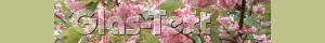 glas_text_2